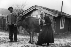 Pauline Johannesdotter Elstadkleiven f. 1847, fra Ringebu med sønnen Jon og kua, utenfor huset på plassen Høgkleiva ca. 1925. – (Foto: Jørgen N. Elstad, Maihaugen - SS-JNE-5692)