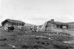 Det var ofte husmannskona som var budeie på sætra om somrene. – (Foto: Hans H. Lie, Maihaugen - SS-HHL-06705)