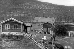 Folk og dyr på plassen Moen i Kvam fotografert i 1913. – (Foto: Hans H. Lie, Maihaugen - SS-HHL-16184)