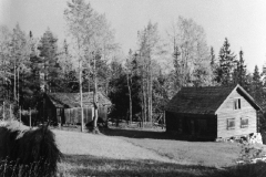Slåttsveen under Prøven i Vestre Toten, fotografert i 1957
