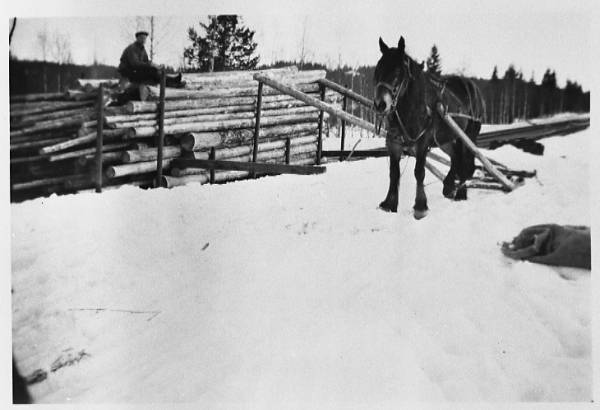Bilde av tømmerlessing med hest og slede ved Kutjern stasjon