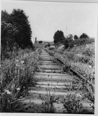 Bilde av nedlagte spor på Skreiabanen