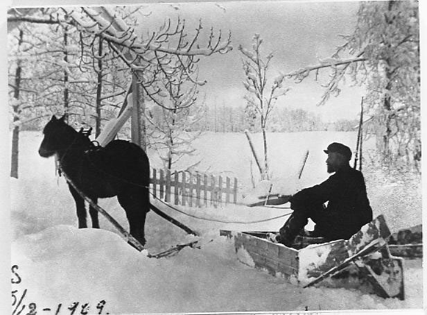 Bilde av snøbrøyting med hest på Toten