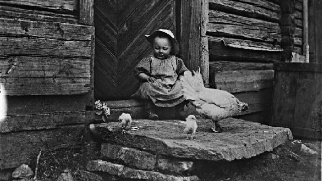 Barn på trammen Foto fra ca. 1902. (Fotograf: Lars Bleken. Foto: Randsfjordmuseene) Bilde av barn som leker med kyllinger ved inngangspartiet