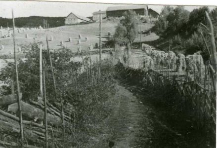VeihistorieFegaten mot Vindorum, Gran (Fotograf: ukjent, (c)Randsfjordmuseene, HF1990/19:19) Bilde fegaten mot Vindorum, Gran