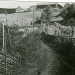 VeihistorieFegaten mot Vindorum, Gran (Fotograf: ukjent, (c)Randsfjordmuseene, HF1990/19:19) Bilde fegaten mot Vindorum, Gran