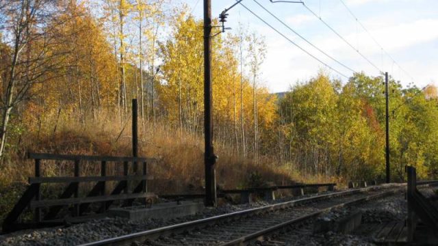 Losna stasjonLosna stasjon (Fotograf: Dagmar Buen © Fylkesarkivet i Oppland). Bilde fra Losna stasjon