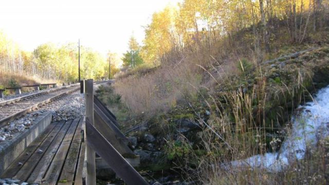 Losna stasjonLosna stasjon (Fotograf: Dagmar Buen © Fylkesarkivet i Oppland). Bilde fra Losna stasjon