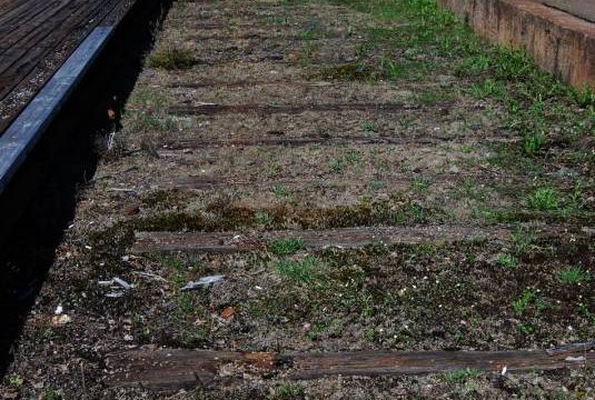Reinsvoll stasjon (Fotograf: Solfrid Myhre, (c)Arkivnett Oppland) Bilde av toglinje Reinsvoll stasjon