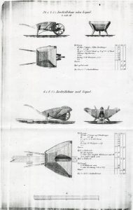Jordtrillebaar med og uden Kapsel Bilde Jordtrillebaar med og uden Kapsel
