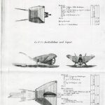 Jordtrillebaar med og uden Kapsel Bilde Jordtrillebaar med og uden Kapsel