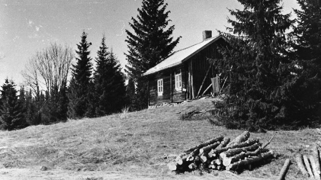 Dagfinrud, Vestre Toten, 1958 - Bildet viser våningshuset på husmannsplassen Dagfinrud under Alm, fotografert i 1958. Huset var en gang dobbelt så langt, og det bodde to husmenn her i hver sin ende (jfr. folketellinga 1865). Halvparten av huset ble tatt ned og satt opp igjen på Almsbakken, som også var plass under Alm. Da bildet ble tatt hadde huset stått tomt lenge, og uthusa var borte. Jorda som hørte plassen til ble brukt av Alm. – Fotograf: Sigmund Kildal. Foto: Mjøsmuseet / R 78/046/08. Hus mellom trær på en høyde med stokker i forgrunnen