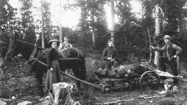 Elgjakt – Fotograf: Lars Bleken, Foto: Randsfjordmuseene AS Jegere viser frem elgen de har tatt
