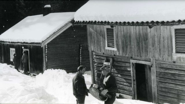 Vikabraaten i Vestre Gran, 1980 – Fotograf: Å.A. Lange, Foto: Randsfjordmuseene AS To menn snakker foran hus med to andre i bakgrunn