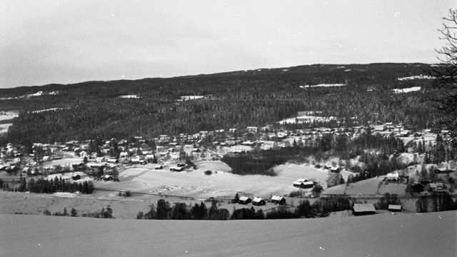 Husmannsplasser under gården Dvergsten i Gran – Fotograf: Å.A. Lange, Foto: Randsfjordmuseene AS Utsikt over Gran