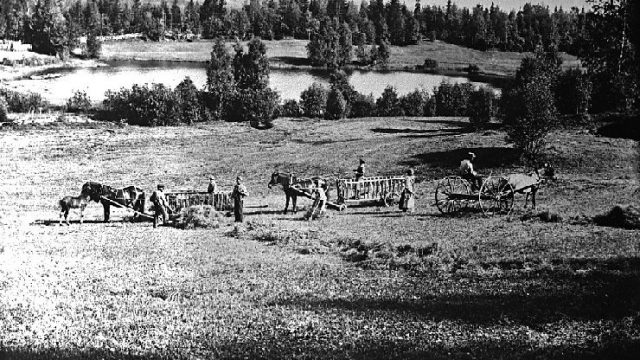 Høyonn, Under Slåttonna var det stort behov for hjelp på gårdene. Her er det høyonn på Bleken, Gran kommune. Bildet er fra rundt 1910 – Fotograf: Lars Bleken, Foto: Randsfjordmuseene AS Hester med kjerrer og menn som lasser høy på kjerrene