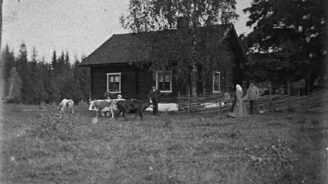 Plassen Kleggerud i Jevnaker – Fotograf: Dr. Berg, Foto: B. Andersen / Randsfjordmuseene AS Kyr, folk og et hus på et jorde
