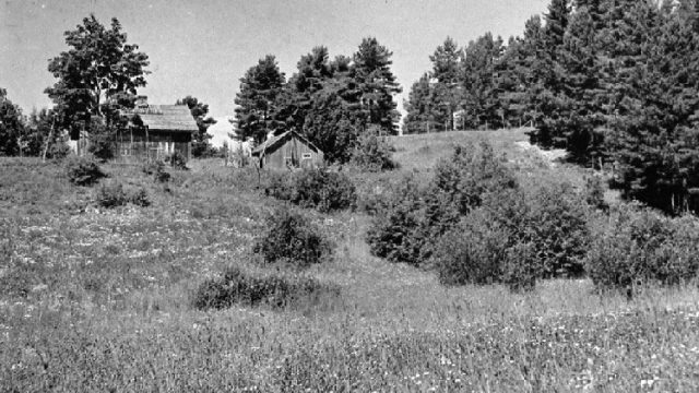 Prestbakken, Østre Toten - Husmannsplass under Sukkestad midtre. – Fotograf: Otto Skundberg. Foto: Mjøsmuseet / R 90/059/02. Bakke med kratt og to hus på toppen til siden og skog rundt