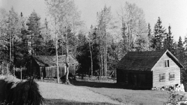 Slåttsveen, Vestre Toten - Bildet viser plassen Slåttsveen under Prøven i V. Toten, fotografert i 1957. Stedet ble bebygd midt på 1800-tallet, og var lenge husmannsplass under Roset nedre. Siden ble plassen solgt til Prøven søndre. Det var en stor stue mot syd, ett kammers mot øst og kjøkken mot vest. Her var det en stor gråsteinspeis og trapp opp til loftet. En lem i himlinga som bare besto av et lag bord, så det ble veldig kaldt. Her sto det også en pen tømmerlåve med gjennomkjørsel midt på og med låvebru, som var rast sammen da bildet ble tatt. (Da bildet ble registrert på museet i 1978 var alle husa på plassen borte). – Fotograf: Sigmund Kildal. Foto: Mjøsmuseet / R 78/055/07. Et hus og en bygning ved en skog