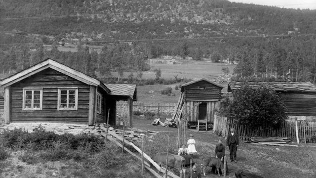 Folk og dyr på plassen Moen i Kvam fotografert i 1913. – (Foto: Hans H. Lie, Maihaugen - SS-HHL-16184) Kyr og mennesker poserer foran kamera med gårdsbruk i bakgrunnen
