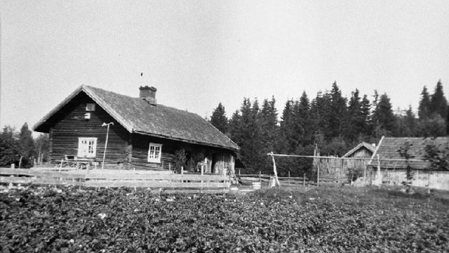 Vasveen, Østre Toten - Husmannsplassen Vasveen under Fossen på Skreia, ligger i nærheten av Lenaelva ovenfor Skådammen. Bildet viser både stua og uthus. På trammen sitter Emil Vasveen, f. ca. 1851. – Fotograf: Ukjent. Foto: Mjøsmuseet / R 85/015/04. Åker i forgrunnen med tre bygninger i bakgrunnen